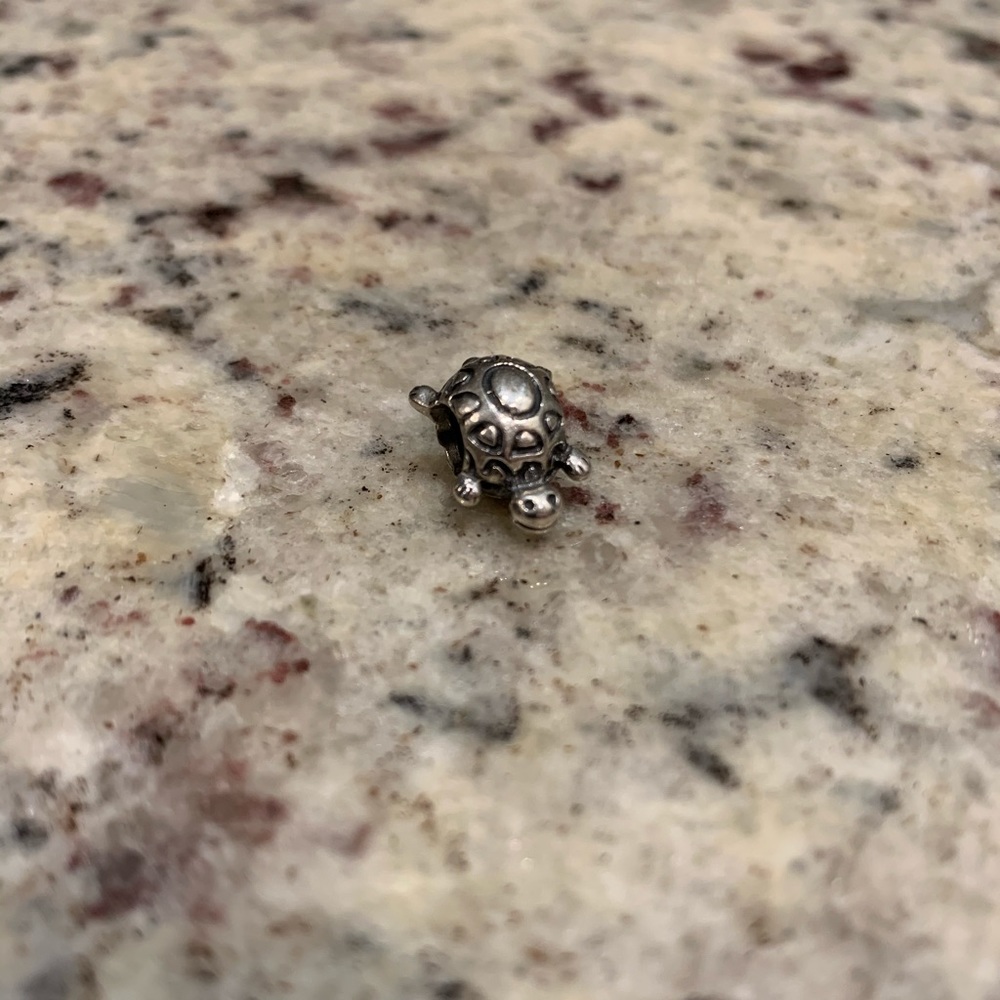 Pandora Bracelet Charms